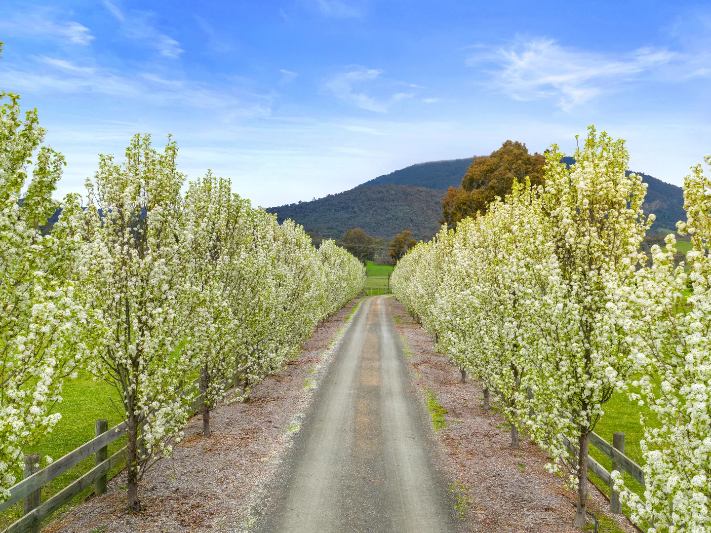 Additional image 44 of 290 Goulburn Valley Highway, Eildon VIC 3713
