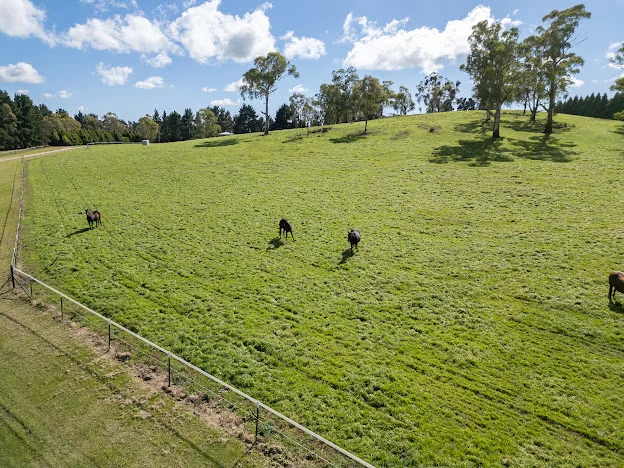Additional image 11 of 543 Aberbaldie road, Walcha NSW 2354