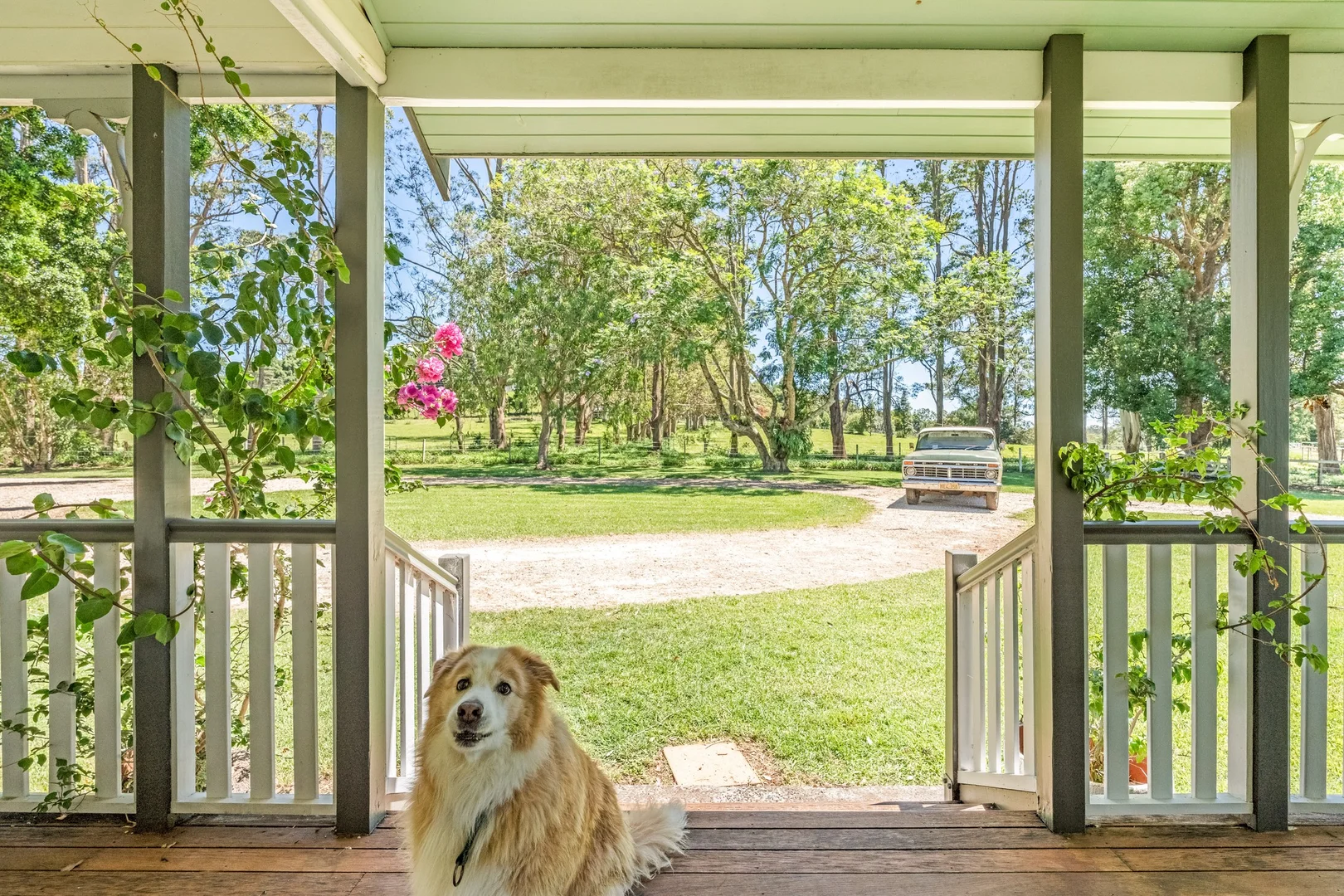 Additional image 5 of 836 Fernleigh Road, Brooklet NSW 2479