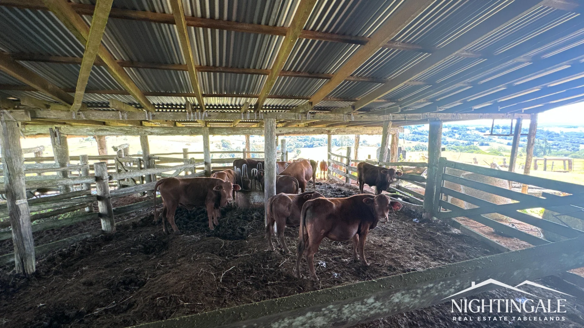 Additional image 17 of 279 Hosie Road, Tarzali QLD 4885