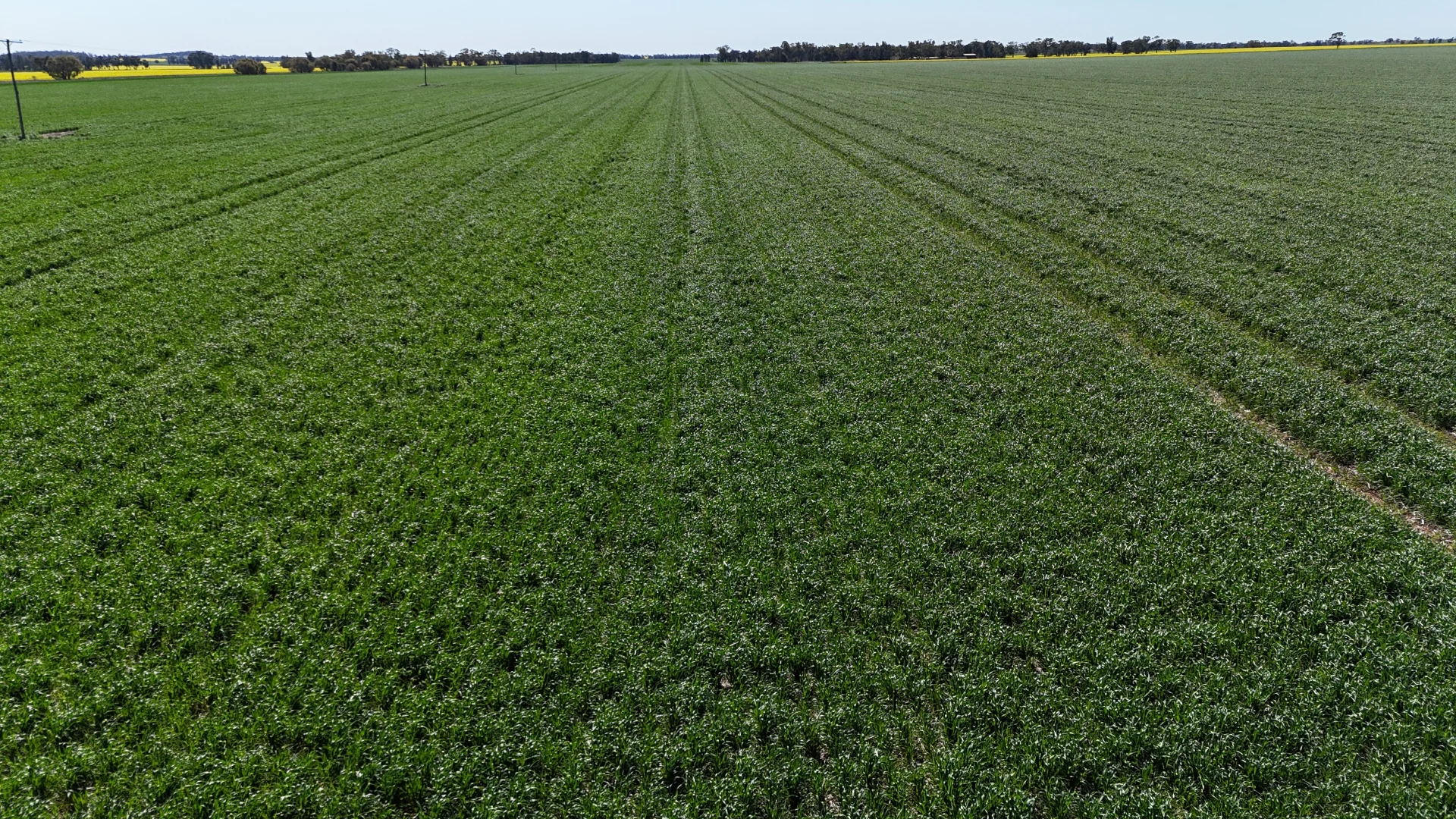 Additional image 14 of 2459 The Bogan Way, Parkes NSW 2870