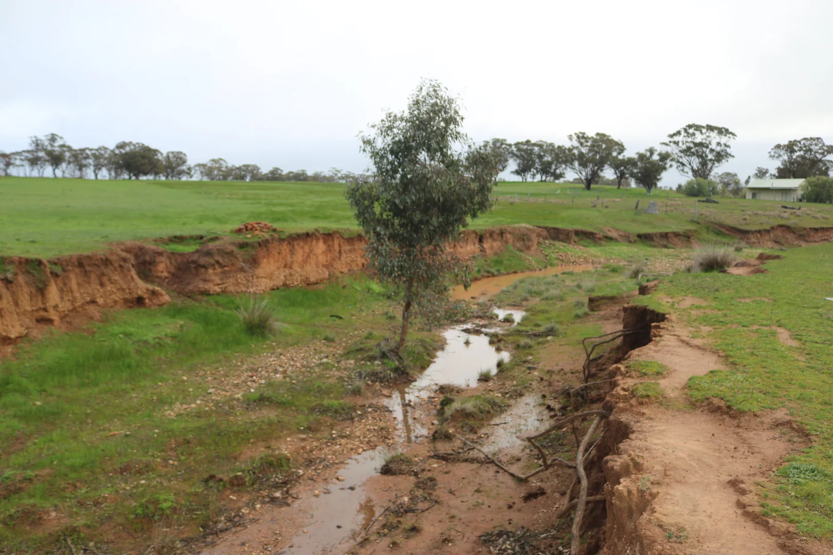 Additional image 6 of Nine Mile-Berrimal Road, Nine Mile VIC 3518