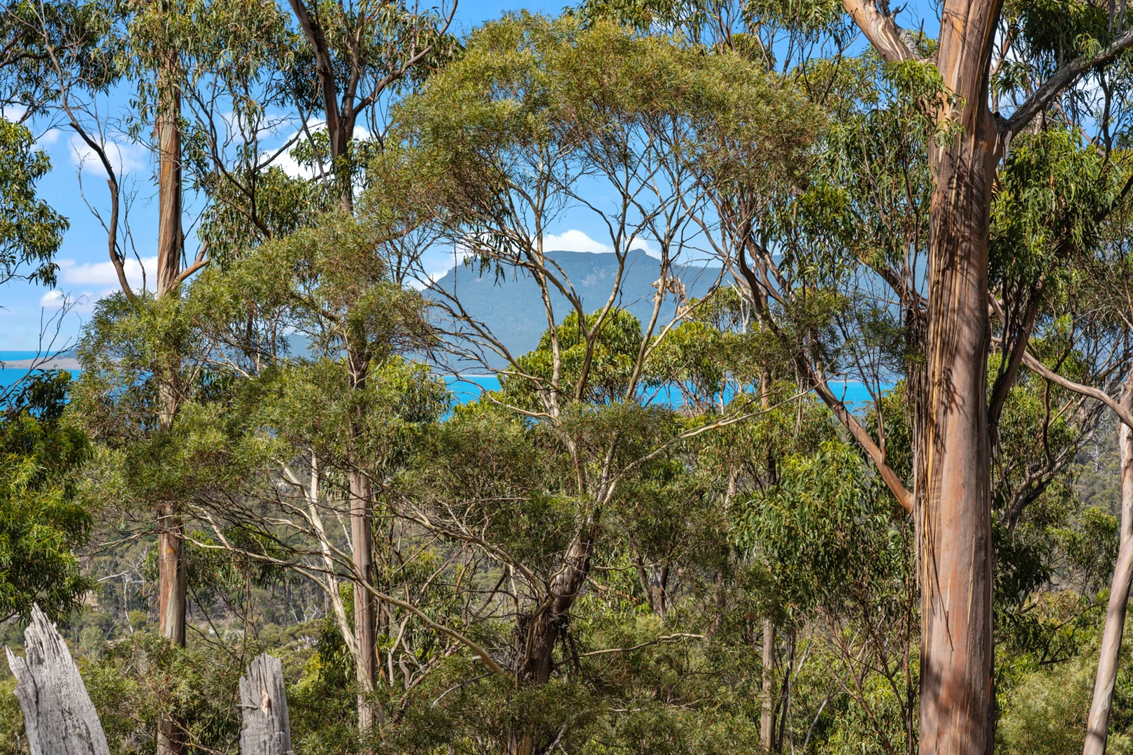 Additional image 6 of 108 Happy Valley Road, Spring Beach TAS 7190
