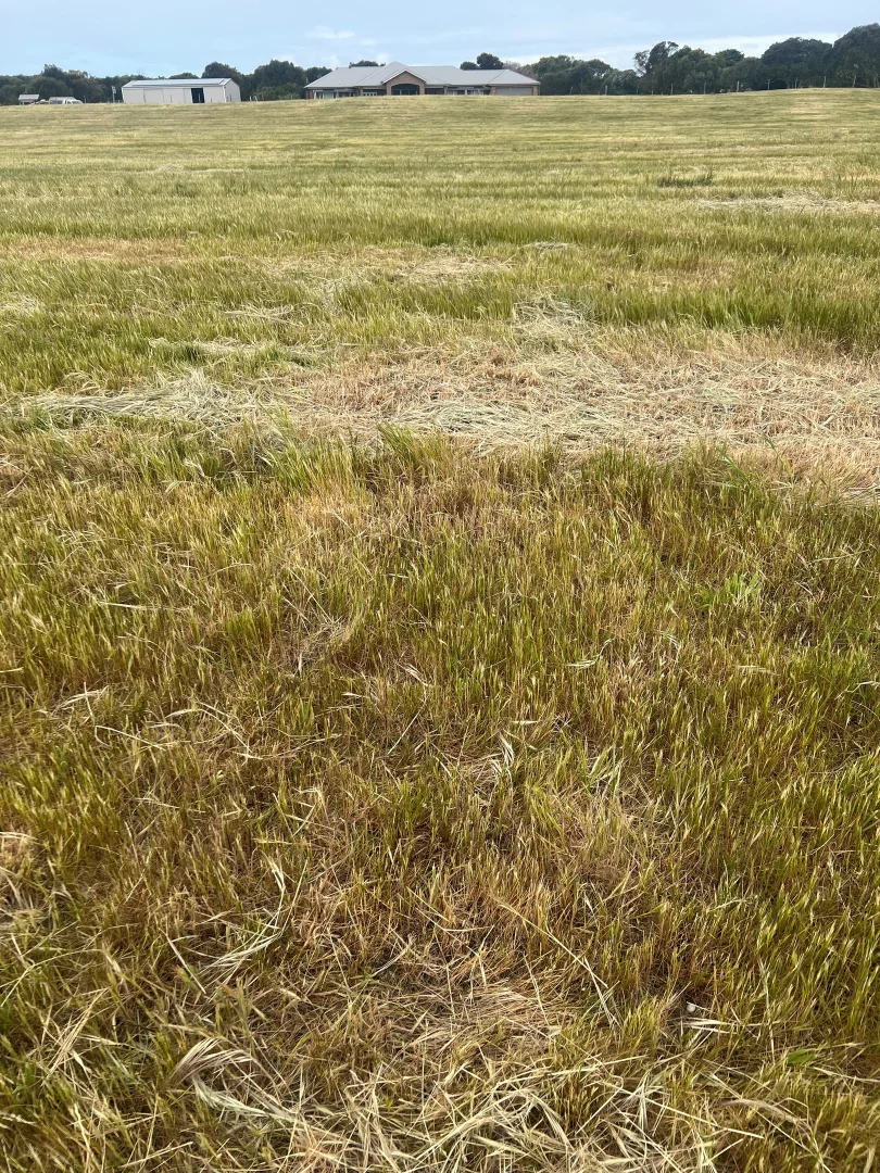 Additional image 3 of Lot 2 Ringwood Drive, Beachport SA 5280