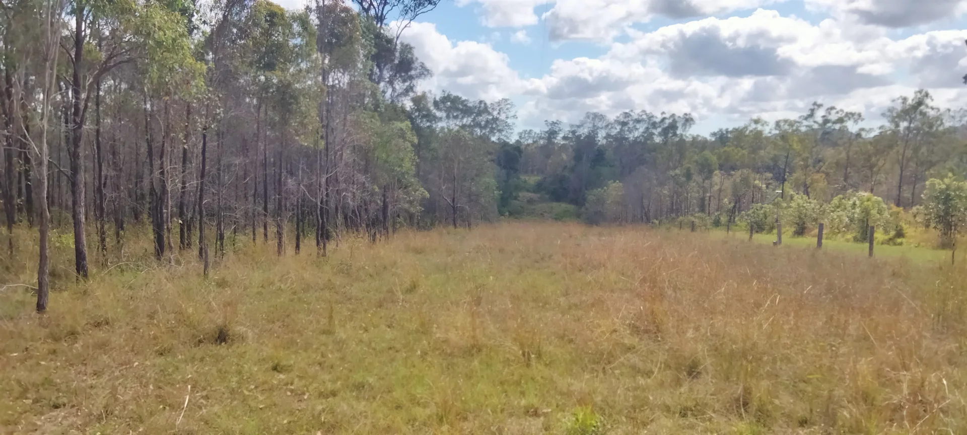 Additional image 14 of 3359 Lowmead Road, Lowmead QLD 4676