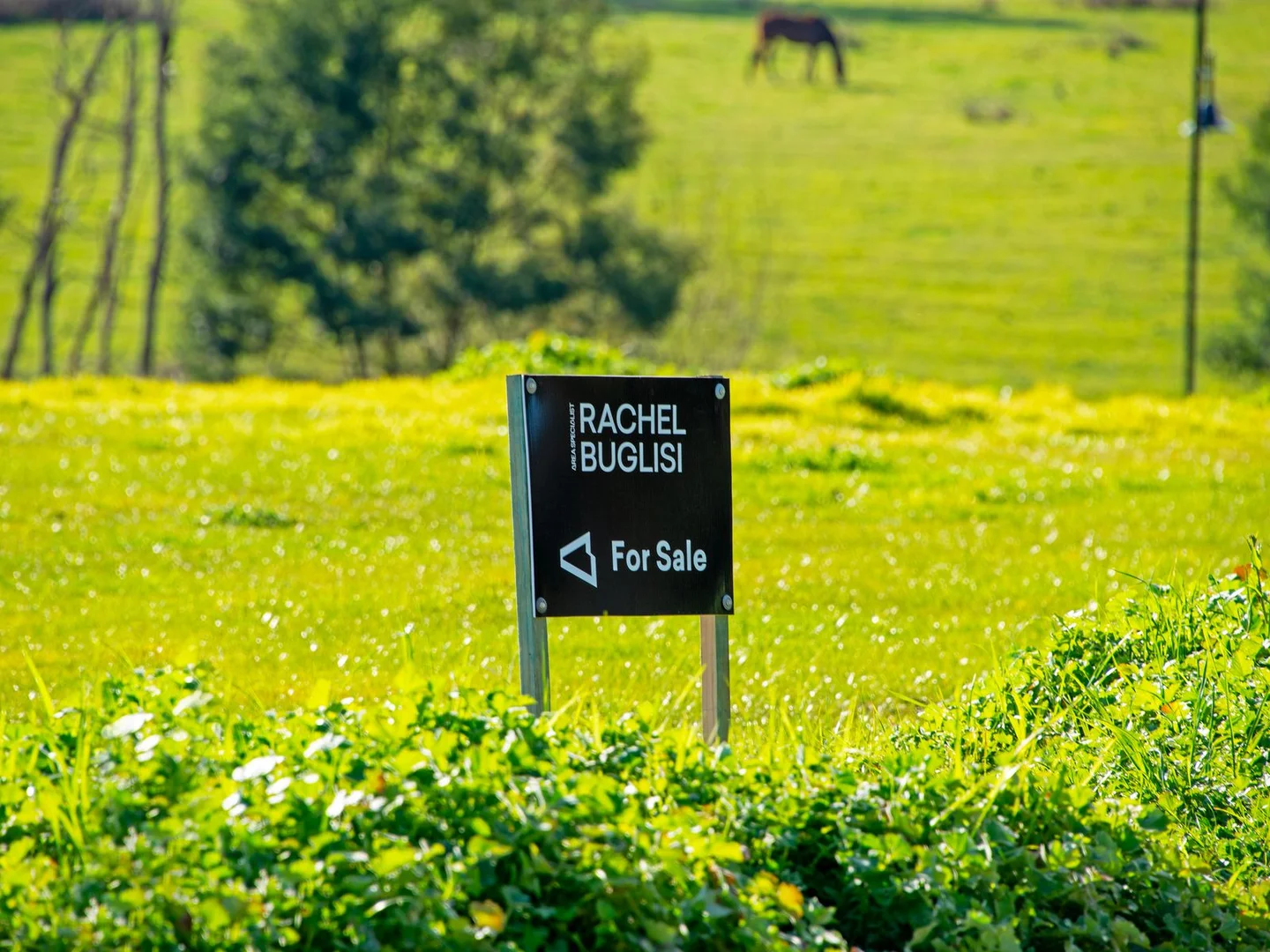 Additional image 8 of Lot 3/49 Ashworth Drive, Traralgon VIC 3844