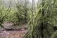 Additional image 6 of Maudland, Rhos, Carmarthenshire SA33