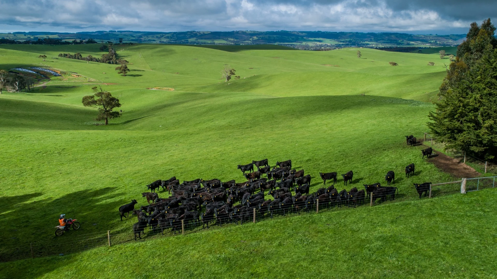 Additional image 7 of Old Sellicks Hill Road, Sellicks Hill SA 5174