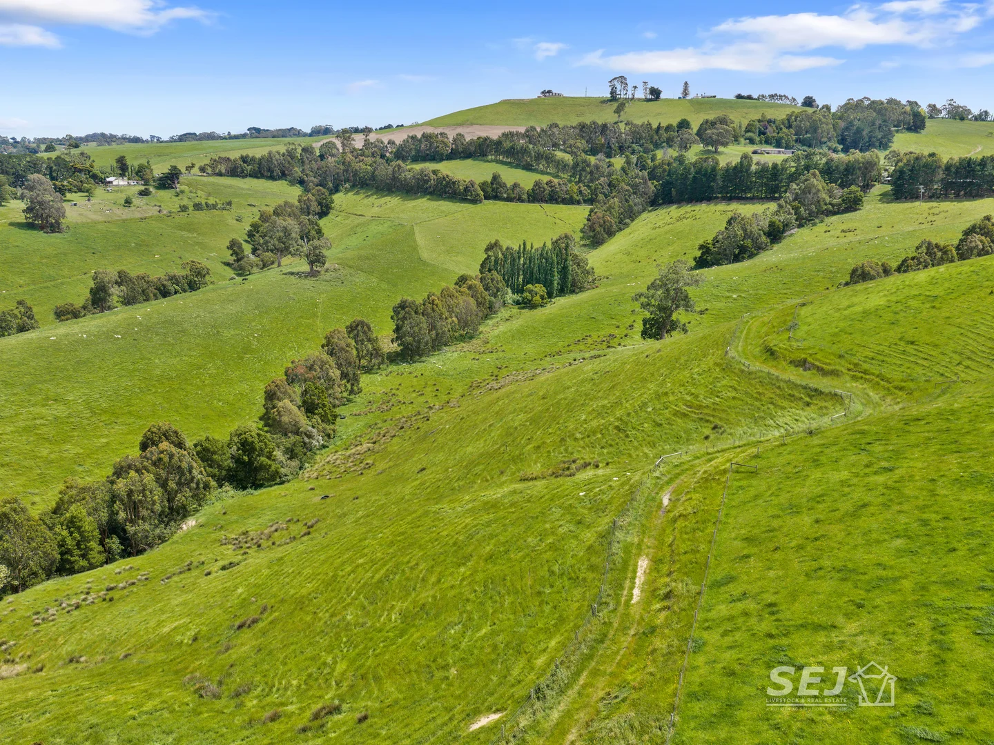 Additional image 12 of 1510 Meeniyan-Mirboo North Road, Dumbalk VIC 3956