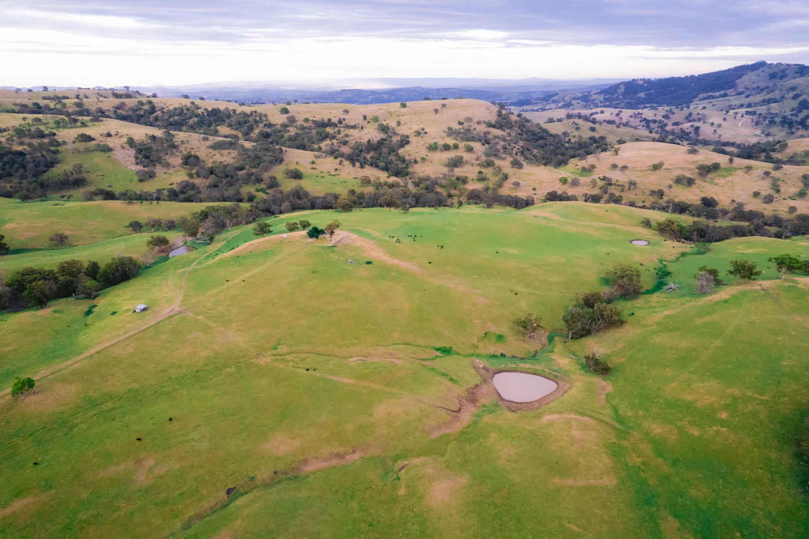 Additional image 5 of 7390 New England Hwy, Willow Tree NSW 2339