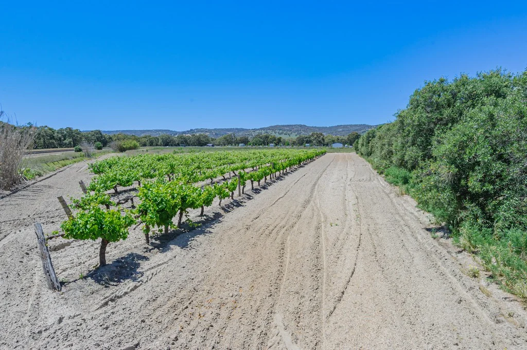 Additional image 17 of 115 Haddrill Road, Baskerville WA 6056
