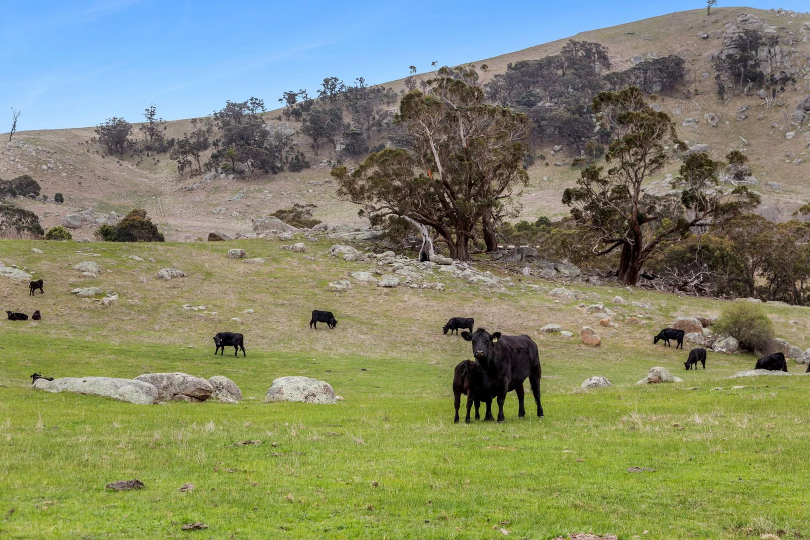 Additional image 11 of 335 Tooborac-Baynton Road, Tooborac VIC 3522