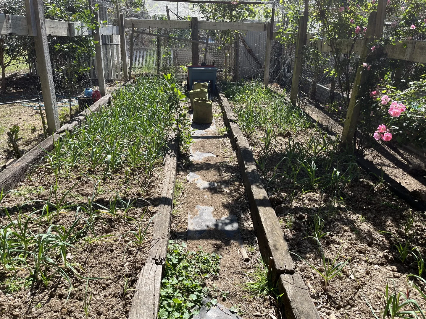 Additional image 8 of 565 Cordeaux Road, Mount Kembla NSW 2526