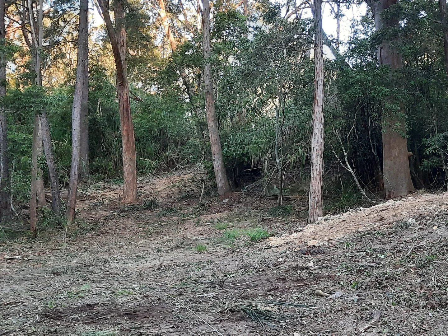 Additional image 15 of 2 Sunnyridge Road, Arcadia NSW 2159