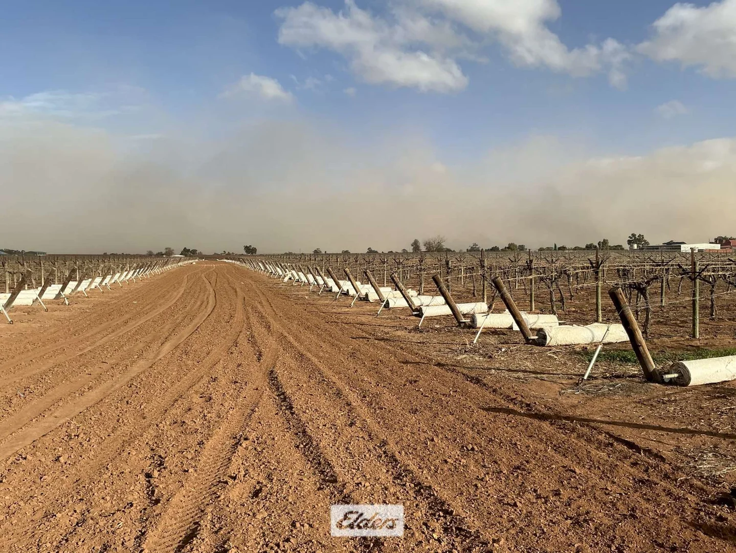 Additional image 4 of 221 & 245 Cowanna Avenue, Merbein South VIC 3505