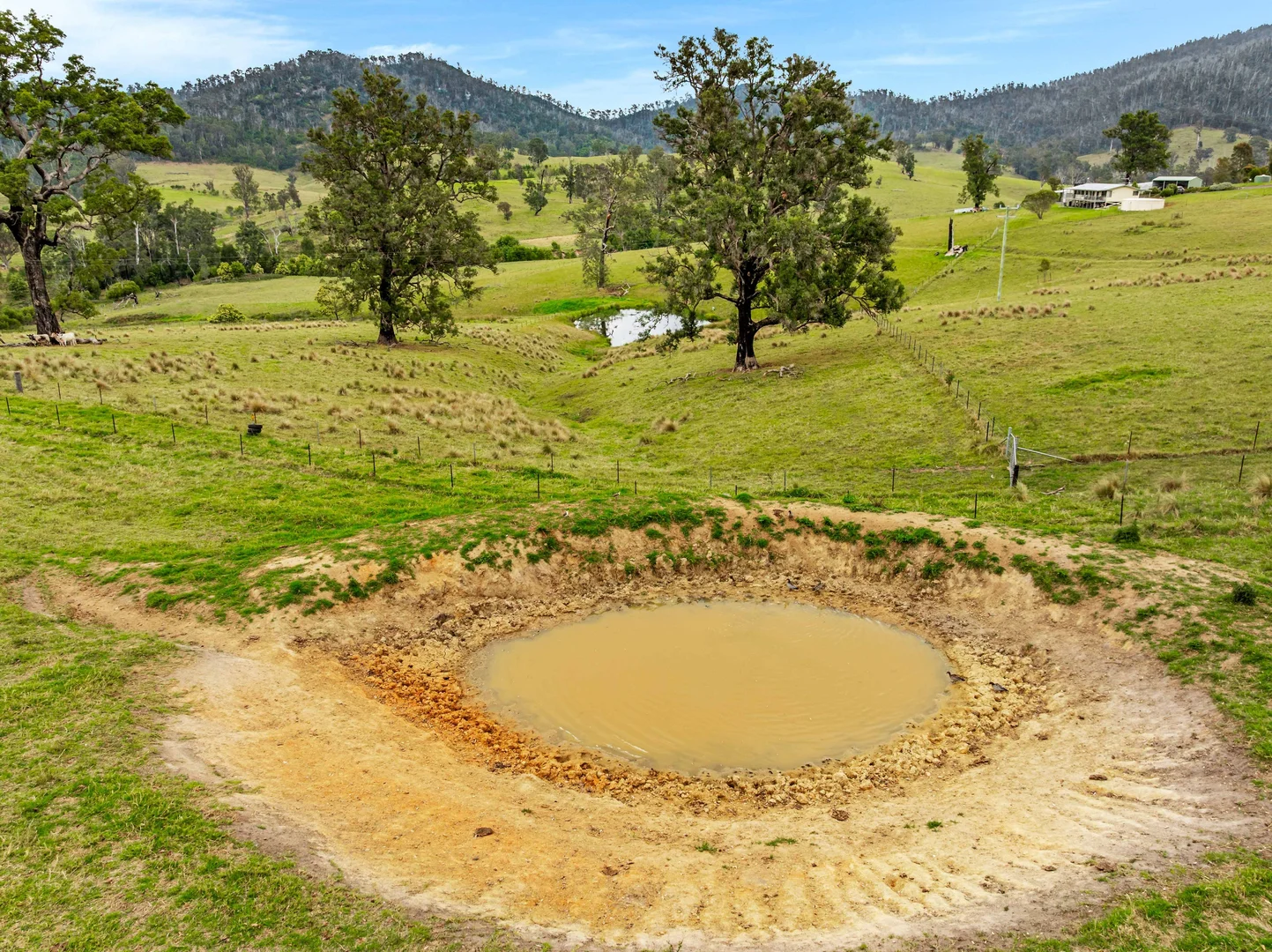 Additional image 8 of 375 Gilberts Road, Cobargo NSW 2550