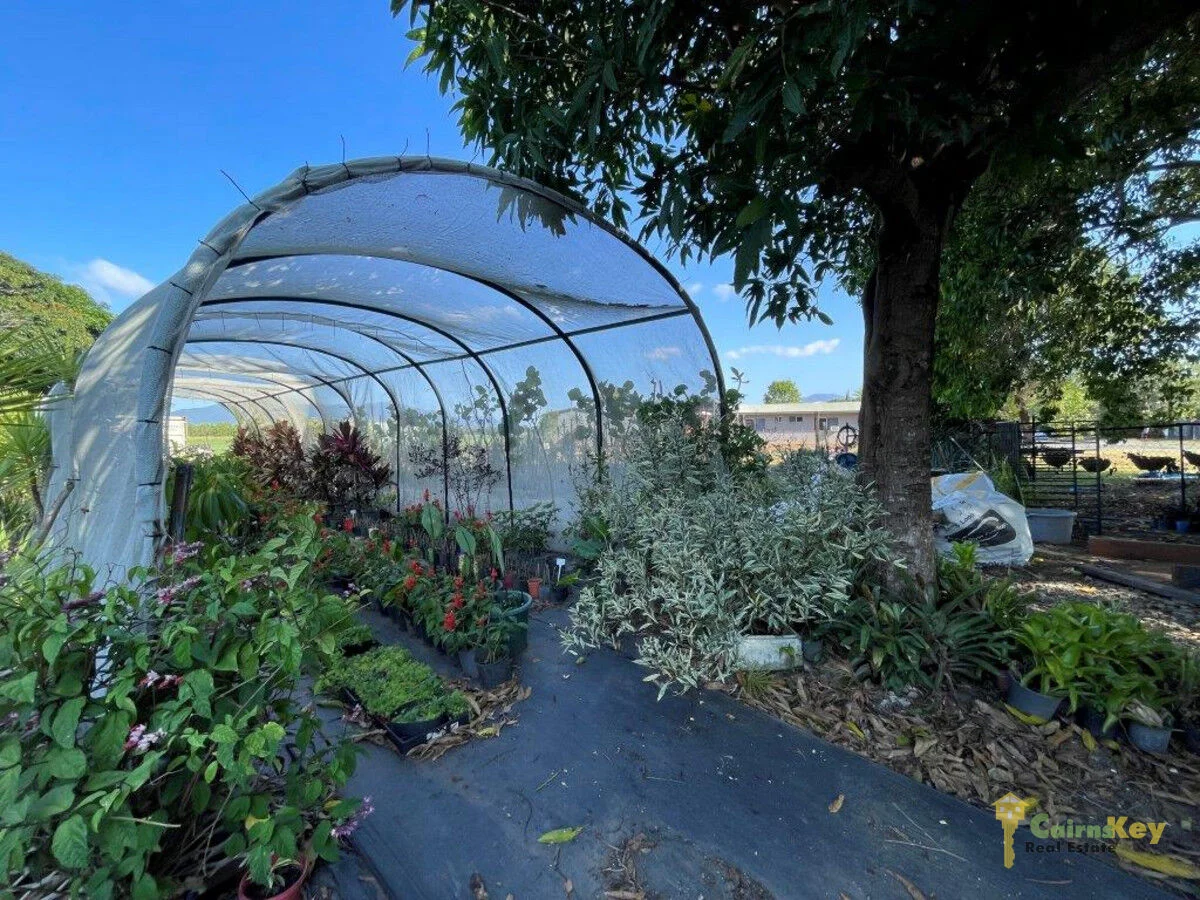 Additional image 10 of 45 Thomson Road, Edmonton QLD 4869