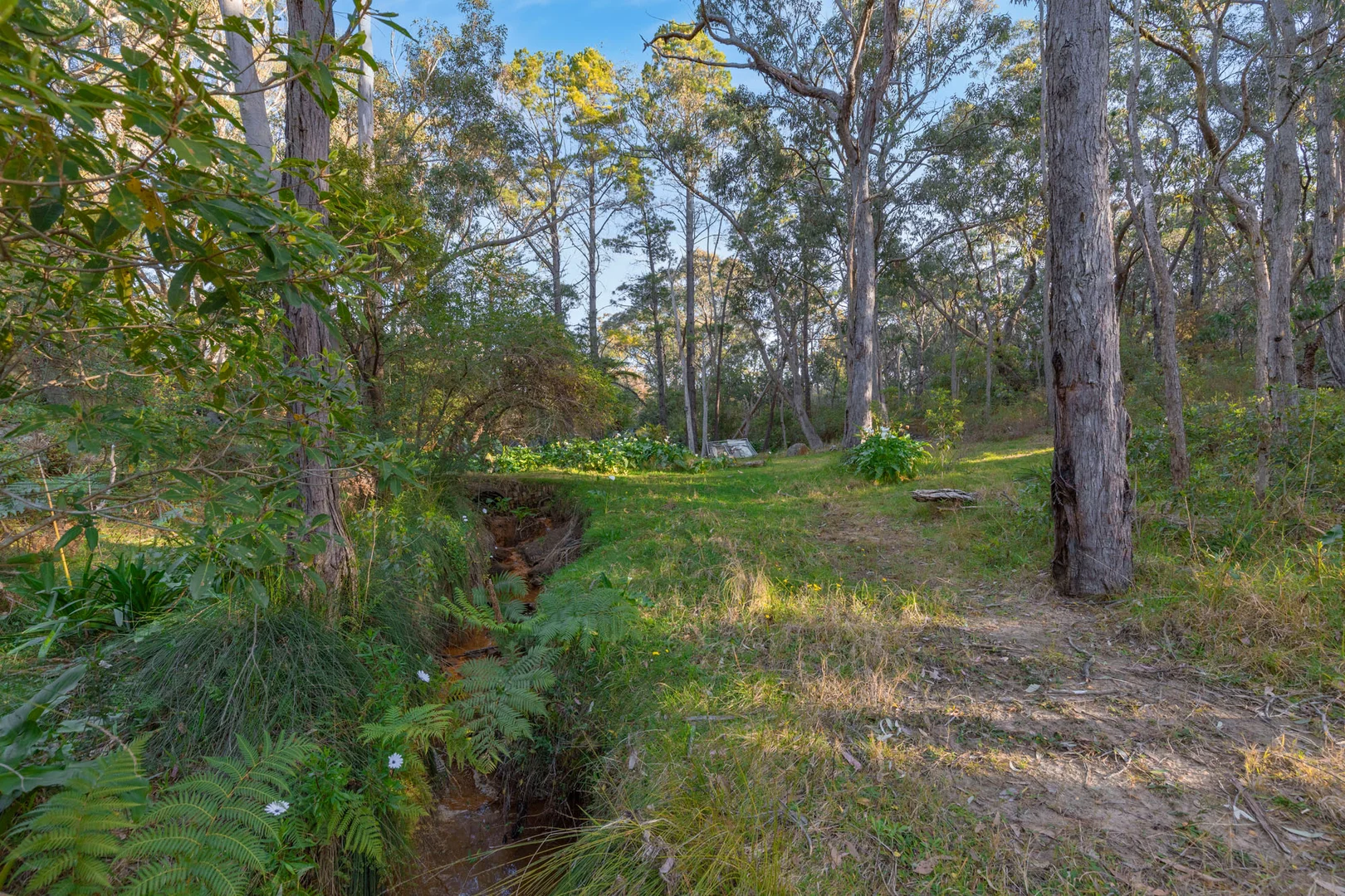 Additional image 4 of 66 West Parade, Buxton NSW 2571