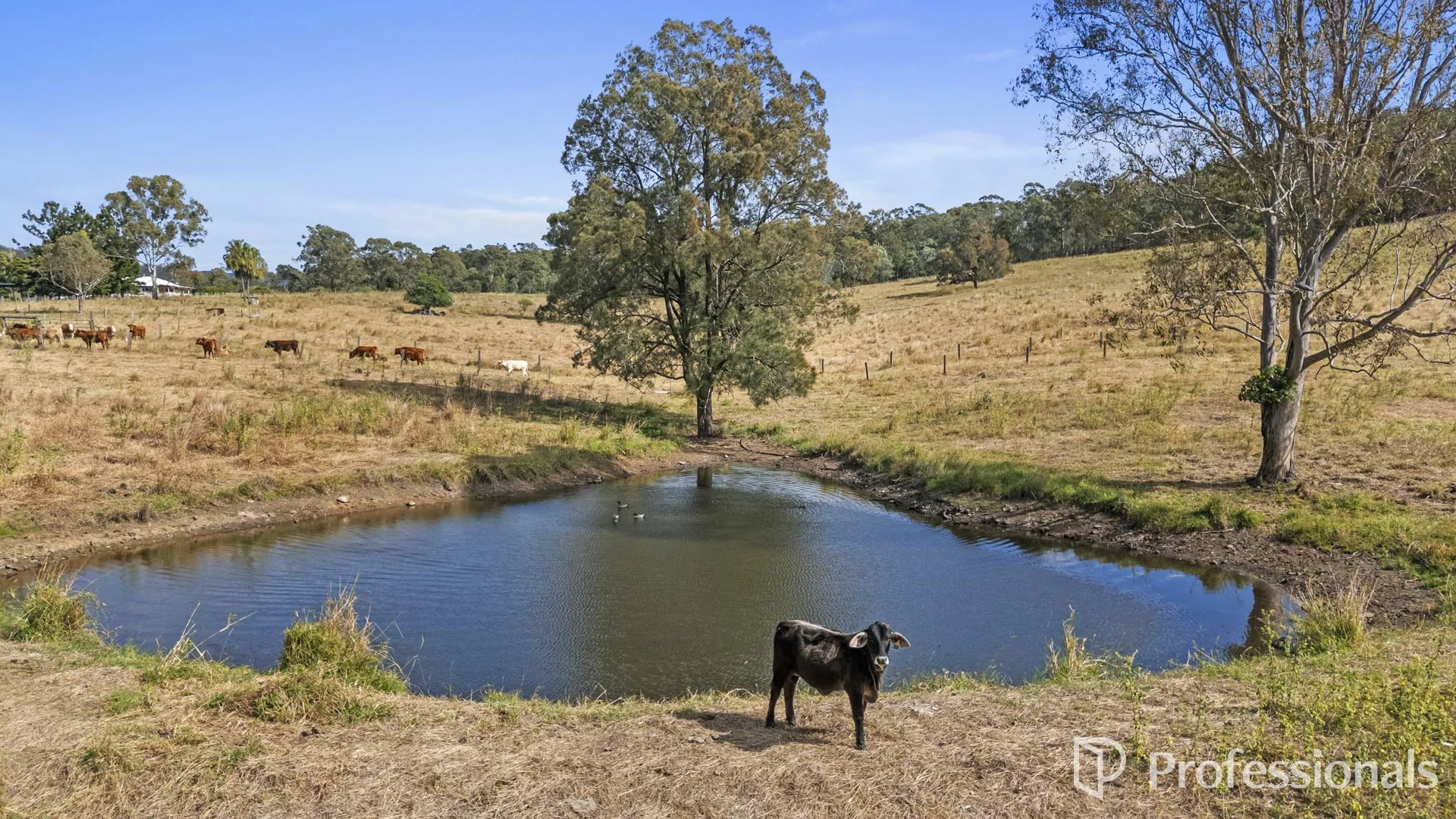 Additional image 23 of 260 Thornside Road, Widgee QLD 4570