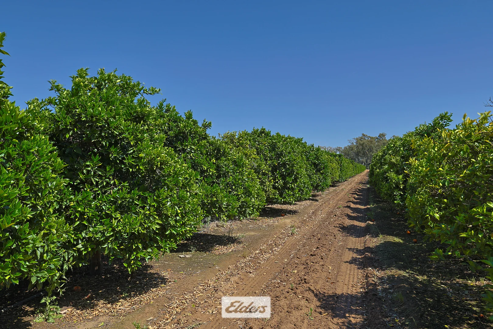 Additional image 6 of 310 Delta Road, Curlwaa NSW 2648