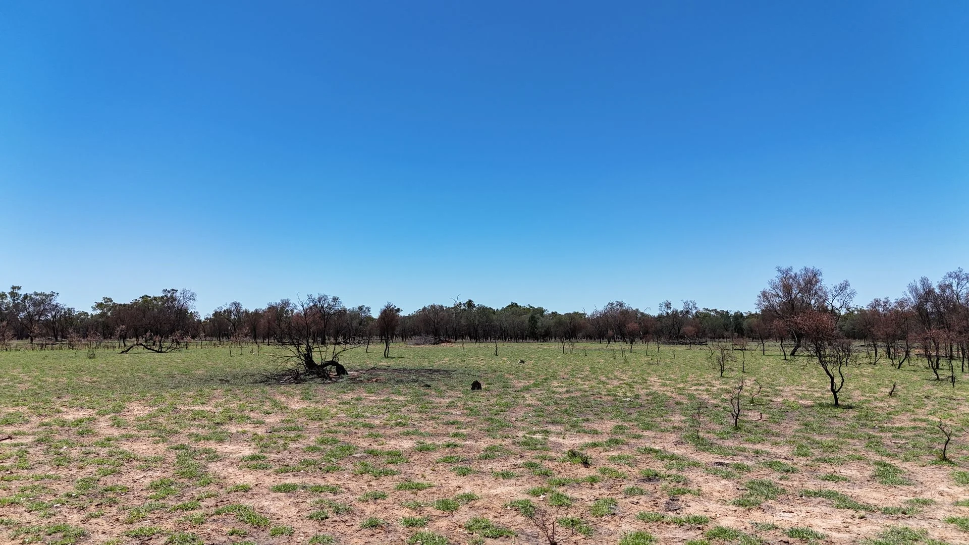 Additional image 21 of 202-410 Wallal Street, Bakers Bend QLD 4470