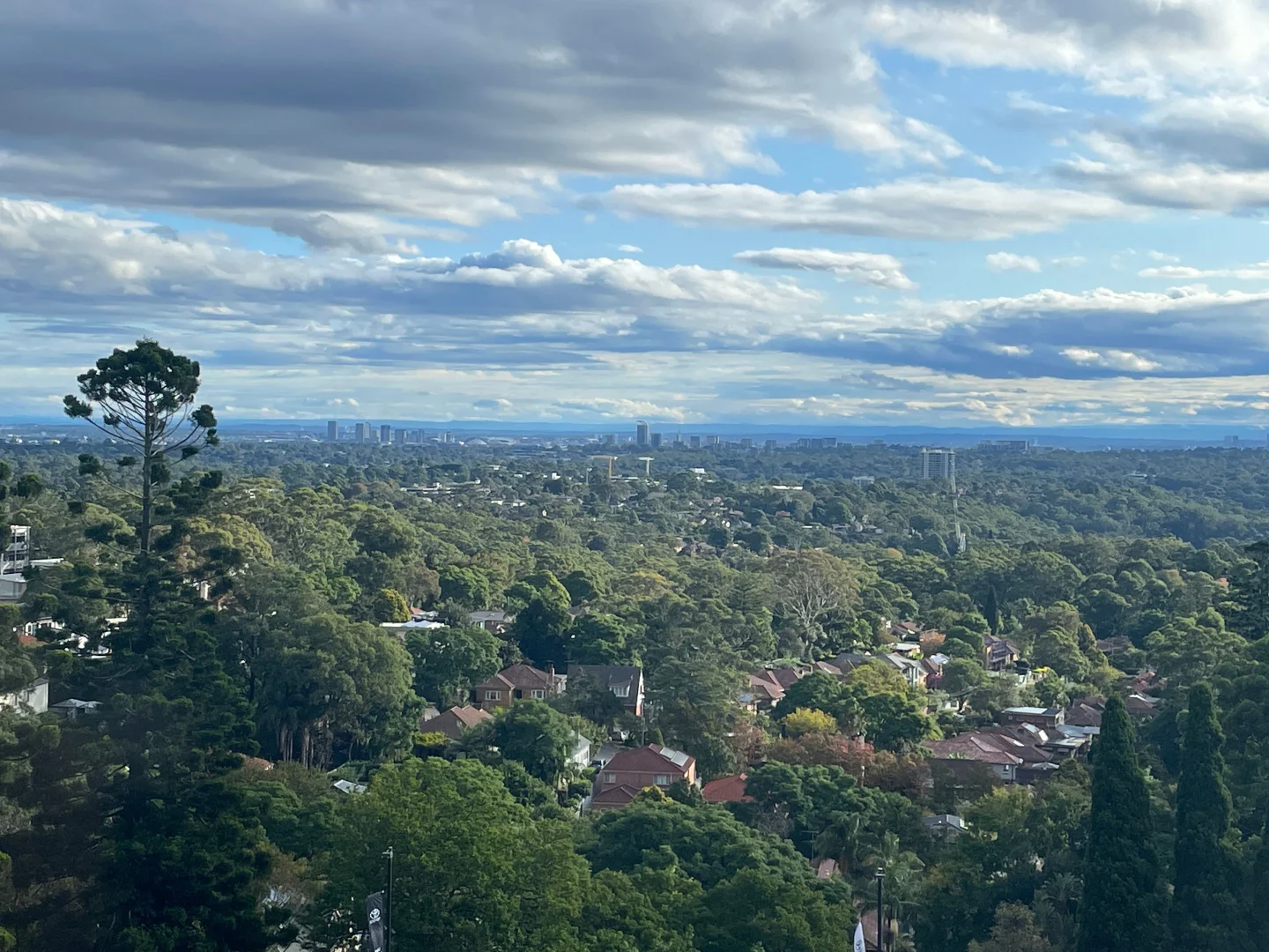 Additional image 4 of 55/14 Brown Street, Chatswood NSW 2067