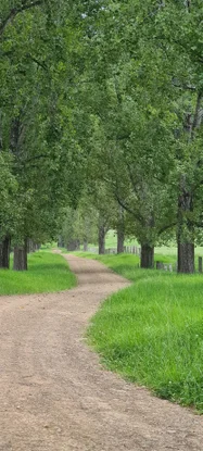 Additional image 15 of 1301 Chichester Dam Road, Bandon Grove, Via, Dungog NSW 2420