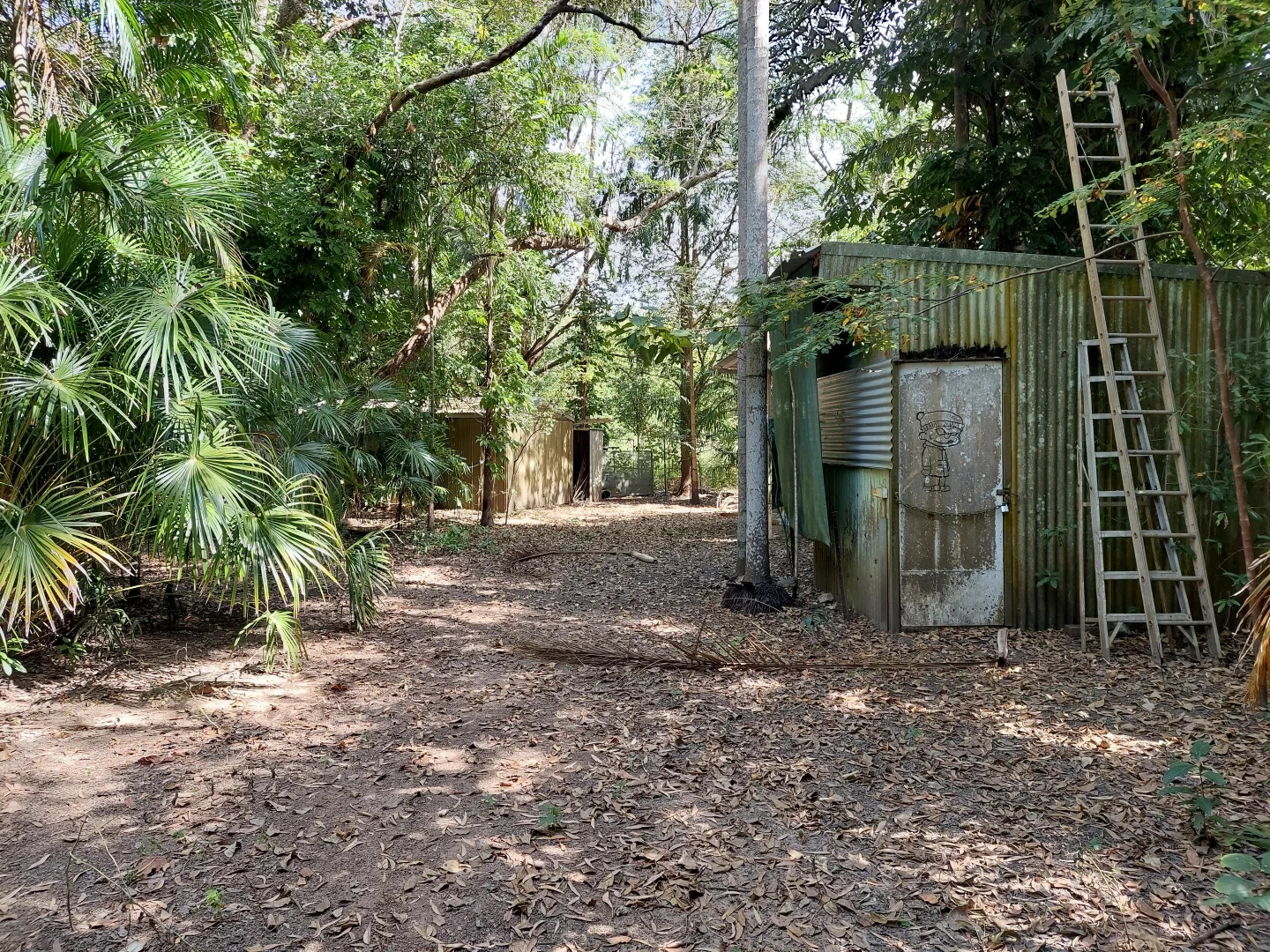 Additional image 22 of Bynoe NT 0822