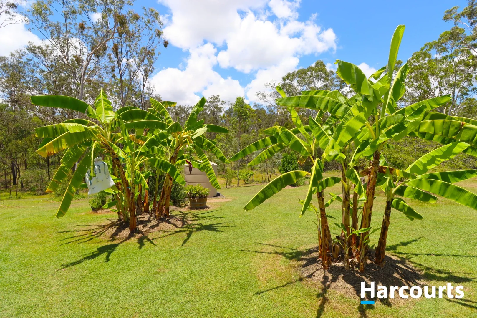 Additional image 29 of 185 Gentle Annie Road, Apple Tree Creek QLD 4660