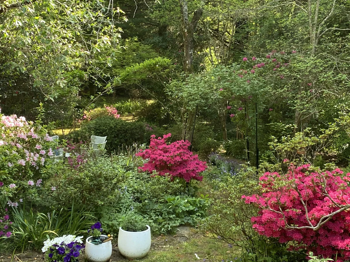 Additional image 26 of 4 Blaxland Avenue, Leura NSW 2780