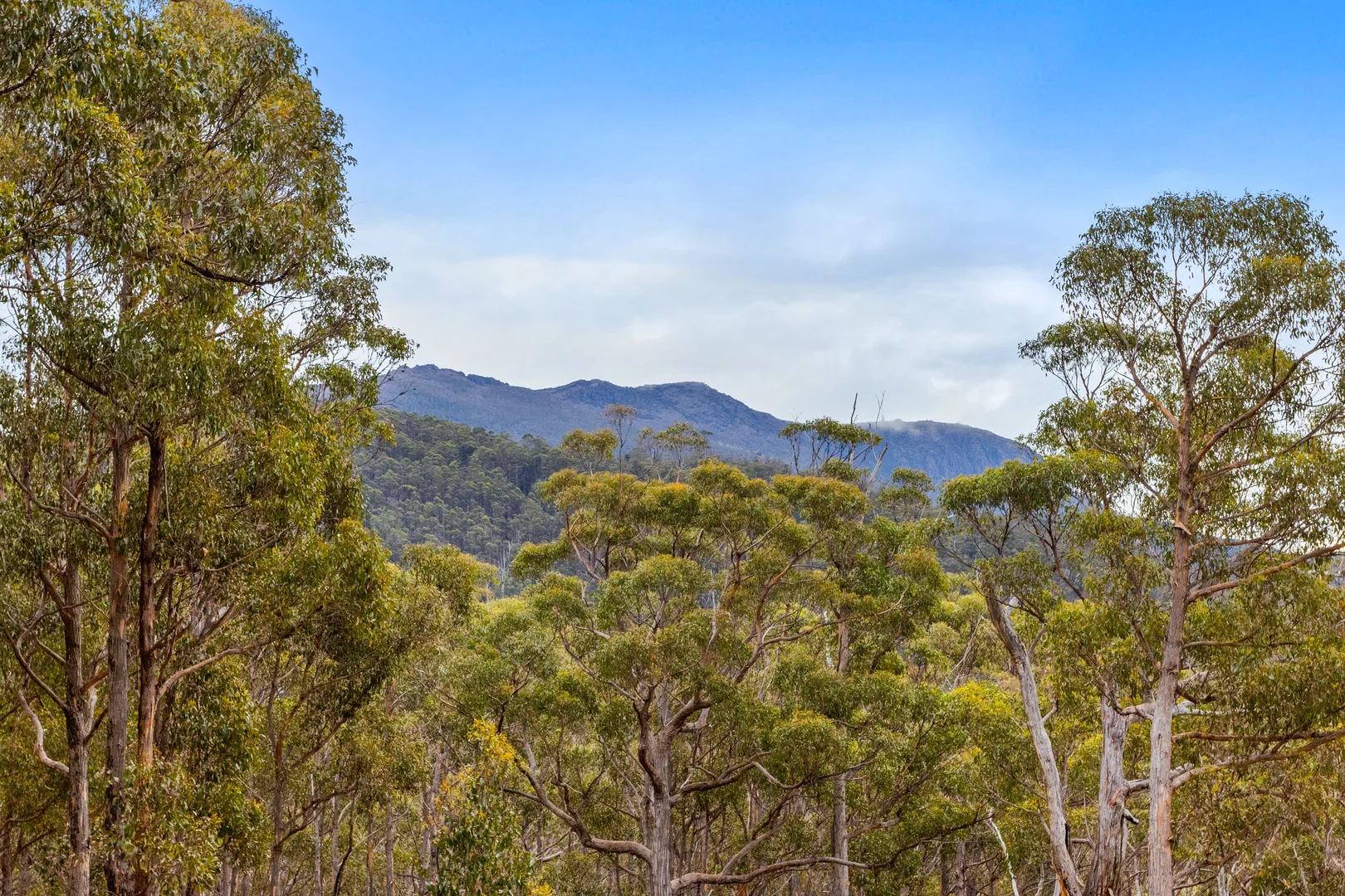 Additional image 3 of 90 Hackford Drive, Kingston TAS 7050