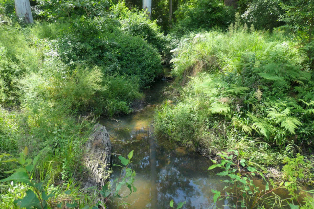 Additional image 14 of 146 Mills Road, Bean Creek NSW 2469