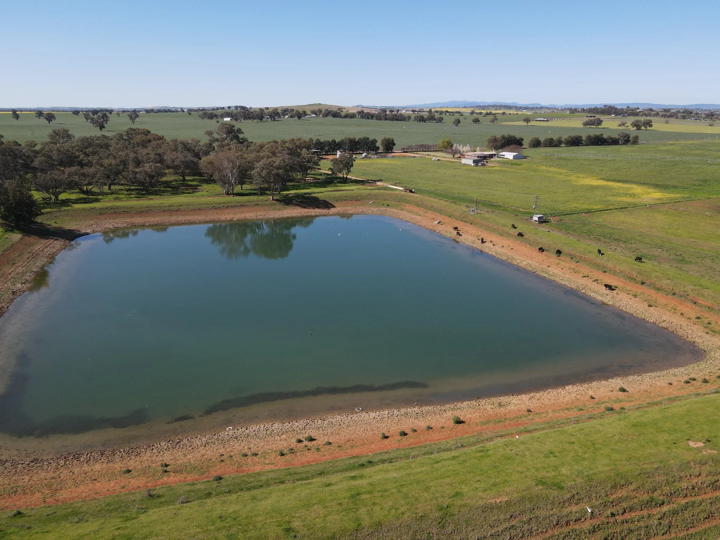 Additional image 24 of 349 Nangar Road, Canowindra NSW 2804