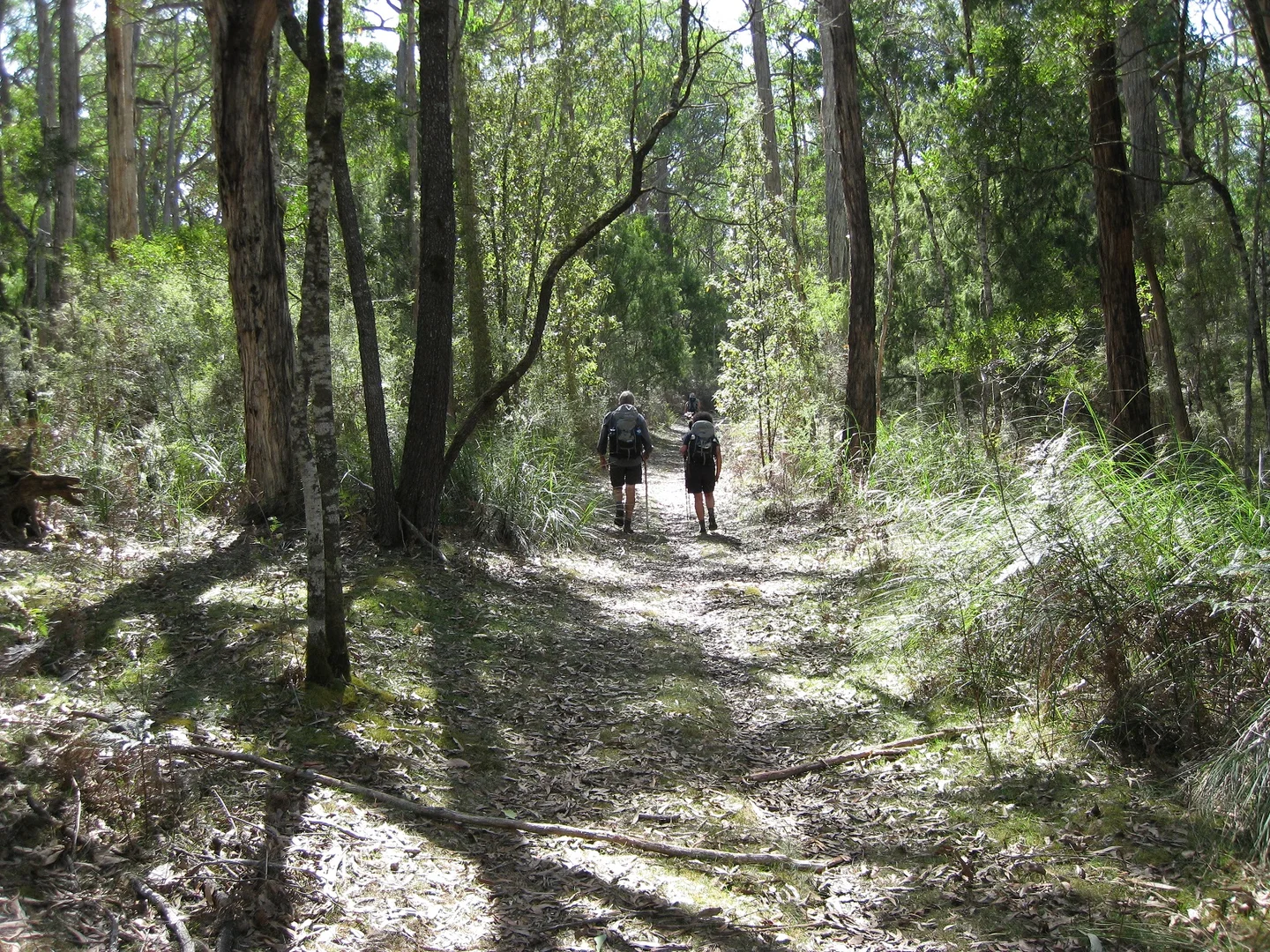 Additional image 33 of 33 Percy Street, Portland VIC 3305