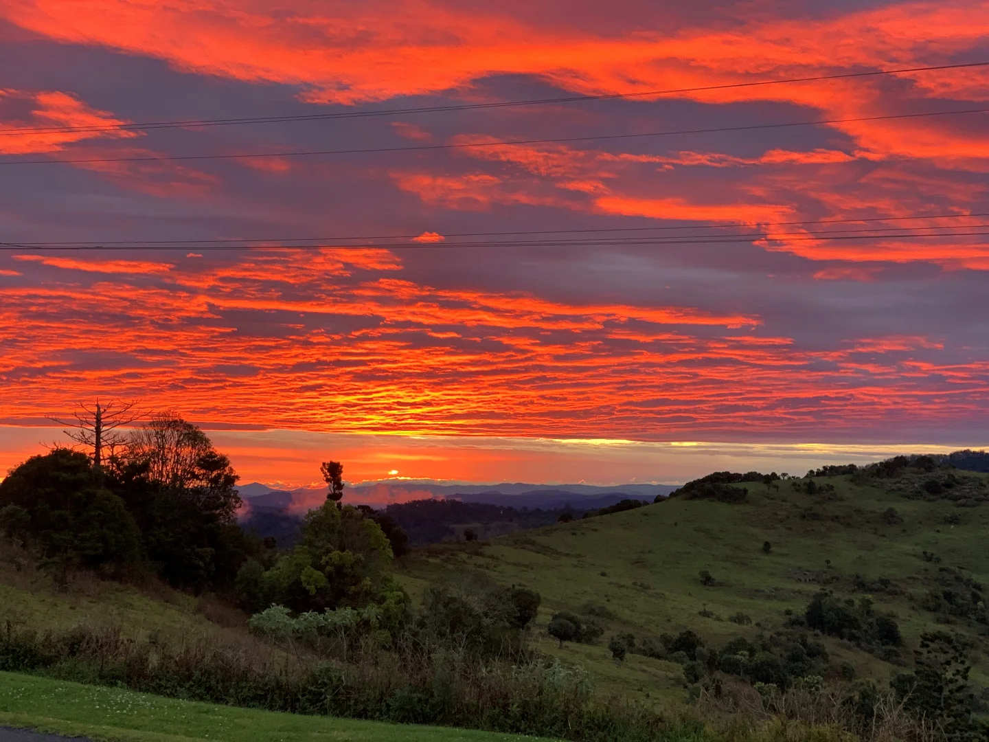 Additional image 3 of 616 South West Road, Beechmont QLD 4211