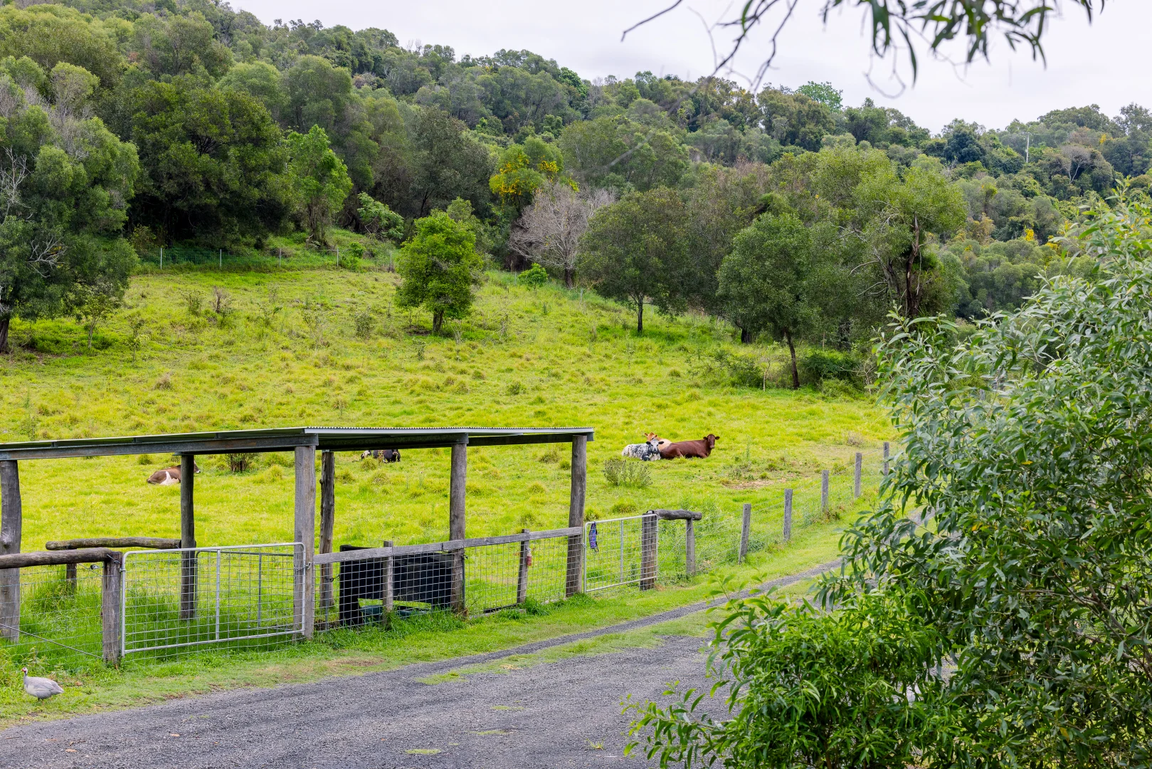 Additional image 12 of 609 Mount French Road, Mount French QLD 4310