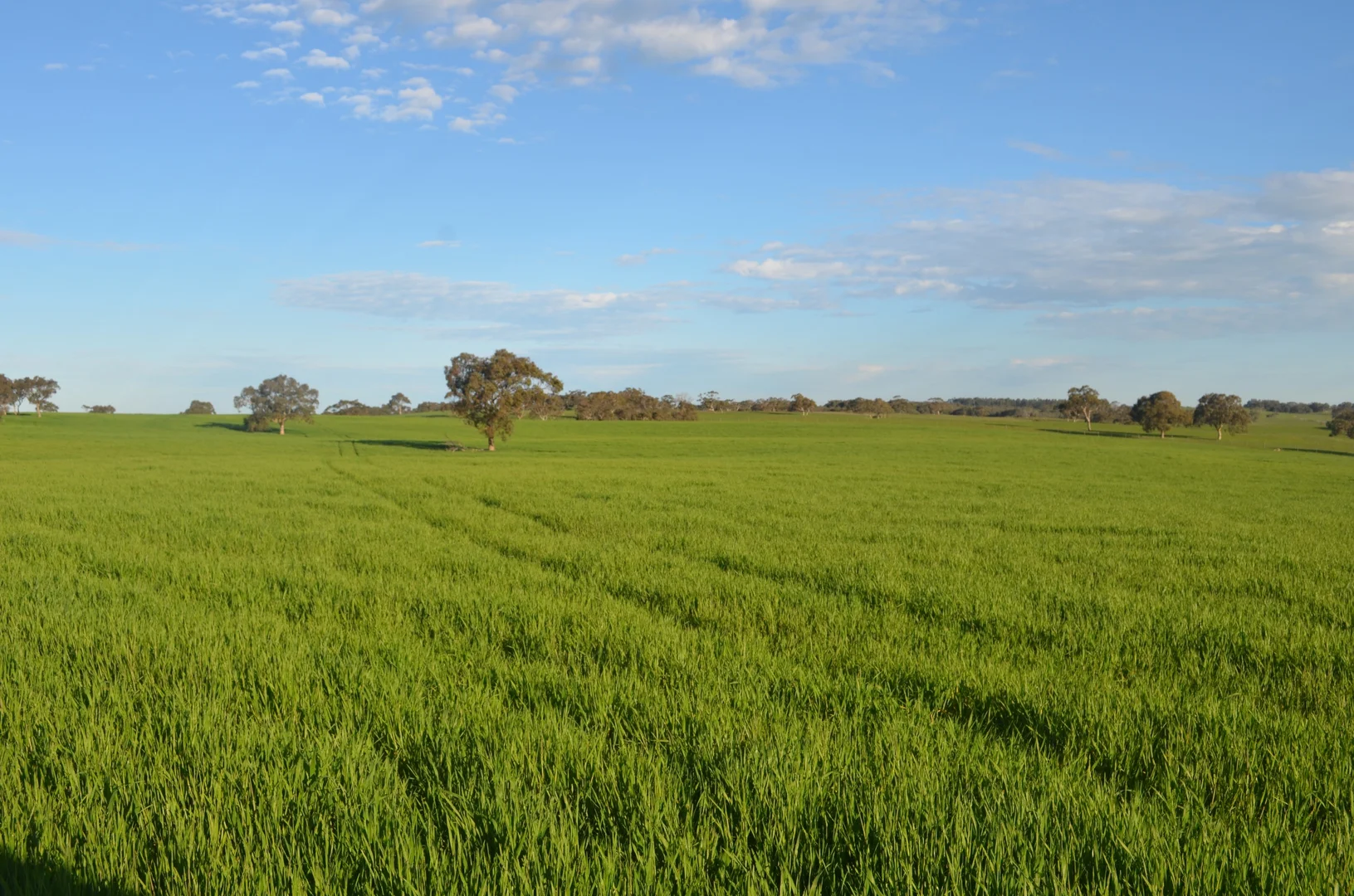 Additional image 9 of Lot 296 Beggs Road, Avenue Range SA 5273