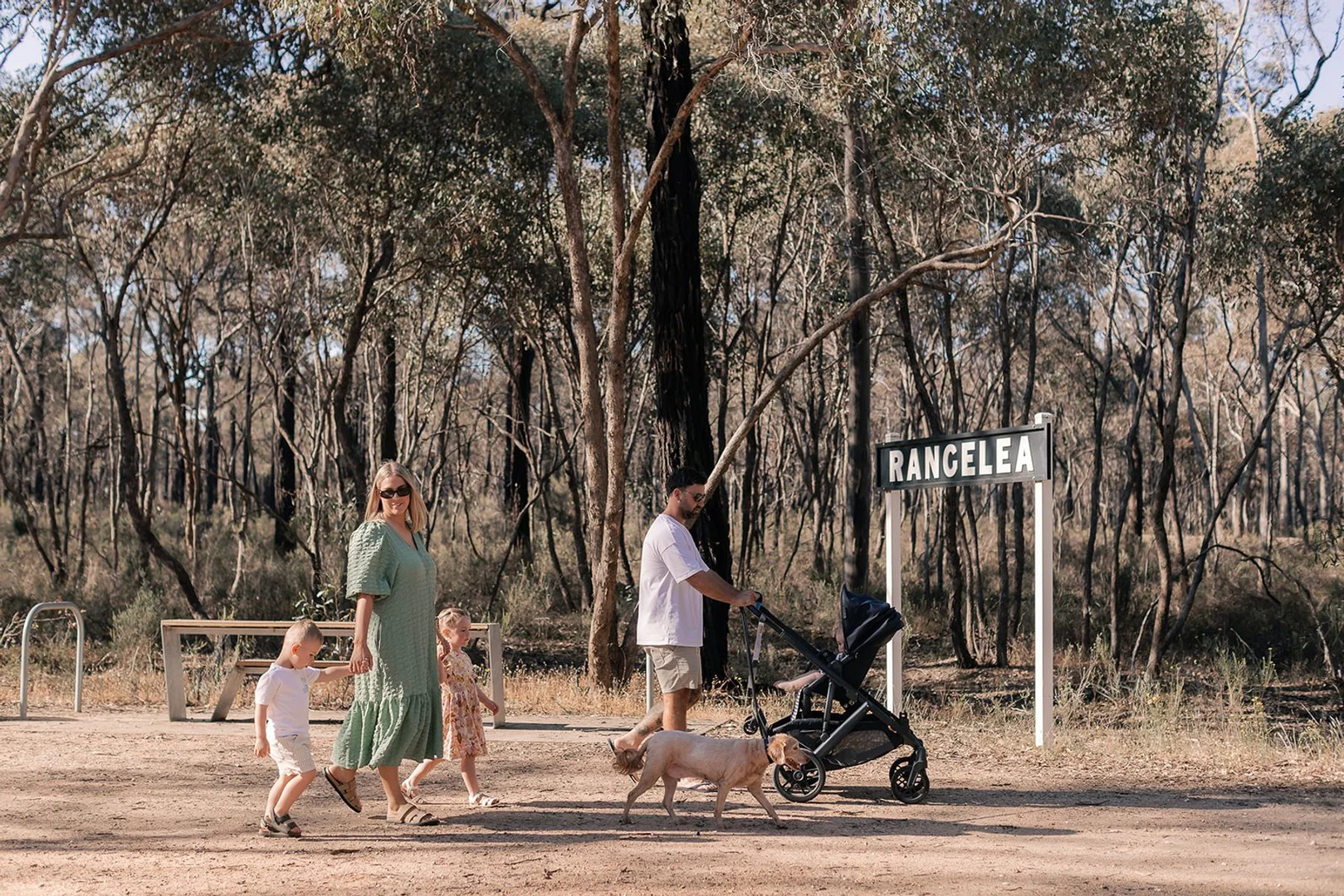 Additional image 6 of Rangelea Rise - 735 McIvor Highway, Junortoun VIC 3551