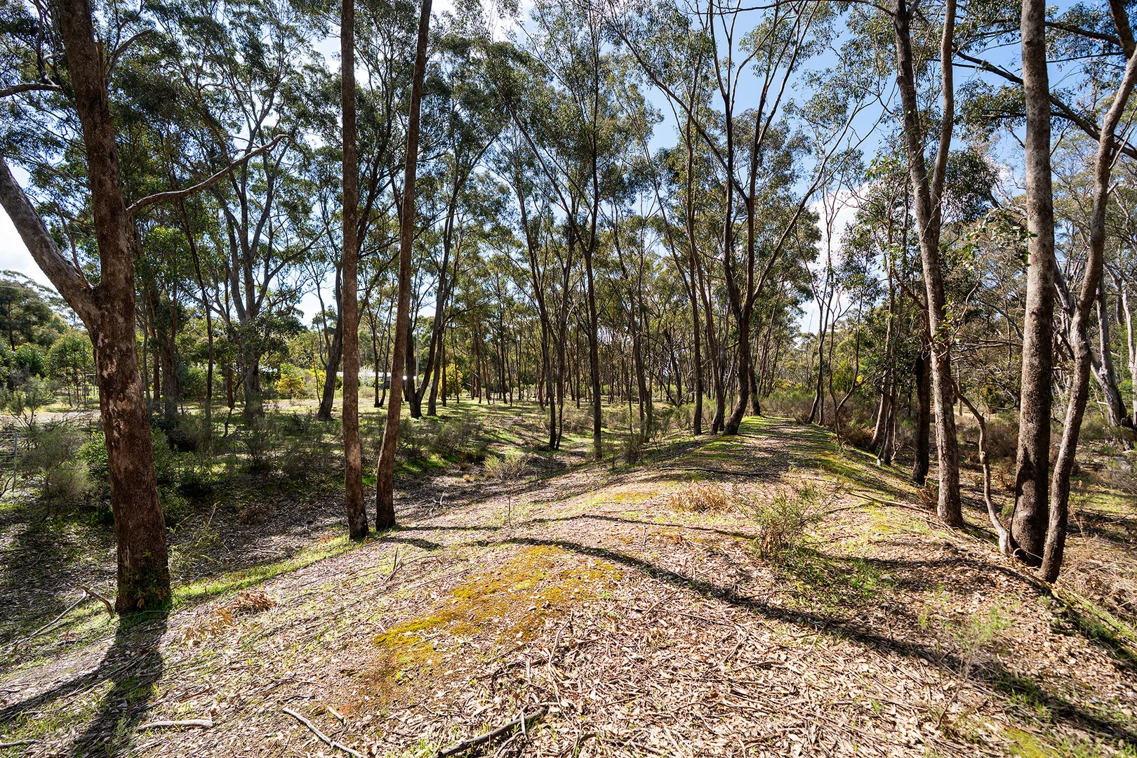 Additional image 8 of Porcupine Lane, Maldon VIC 3463