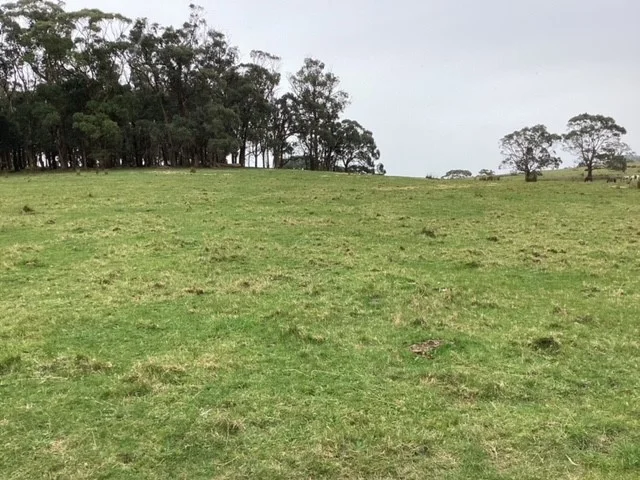 Additional image 11 of 236 Morrisons Lane, Korobeit VIC 3341