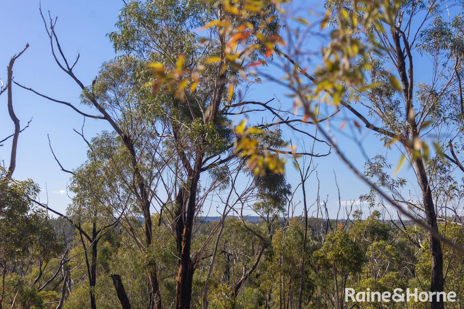 Additional image 10 of Lot 6 of Lot 33 Little Forest Road, Little Forest NSW 2538