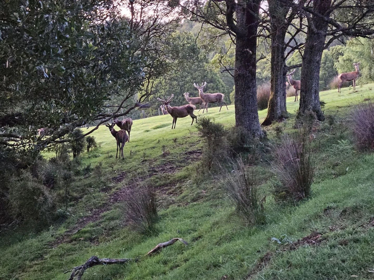 Additional image 12 of Grand Ridge VIC 3870