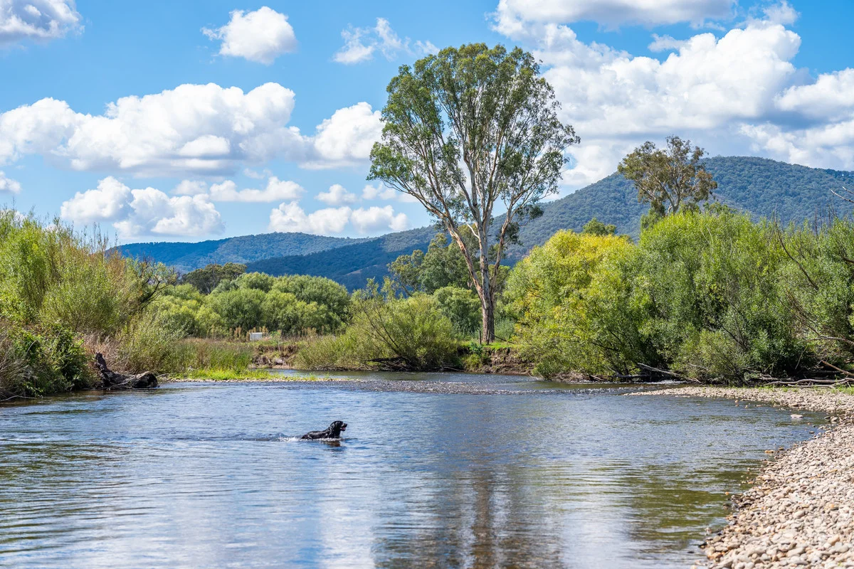 Additional image 8 of 2712 Gundowring Road, Upper Gundowring VIC 3691