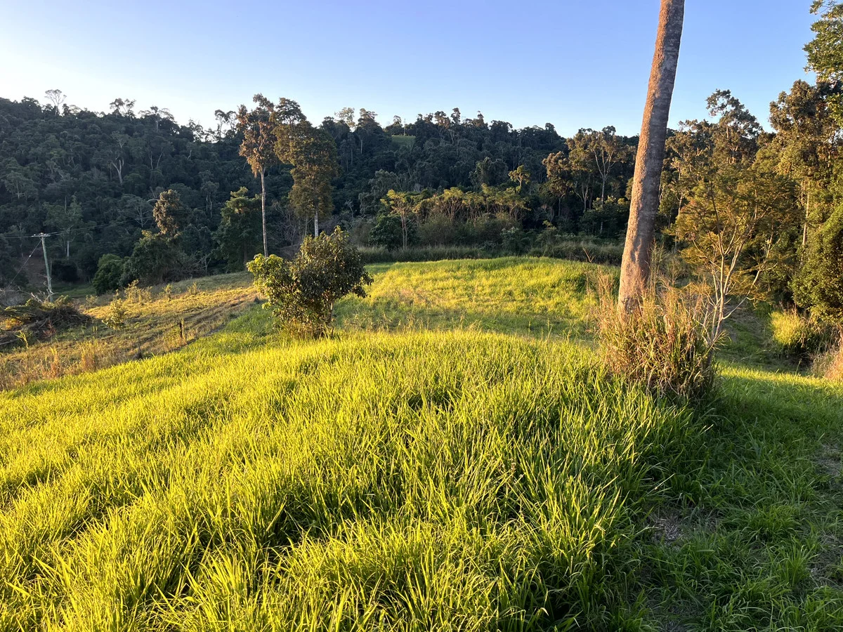 Additional image 10 of 514 Dunwoody Road, Ball Bay QLD 4741