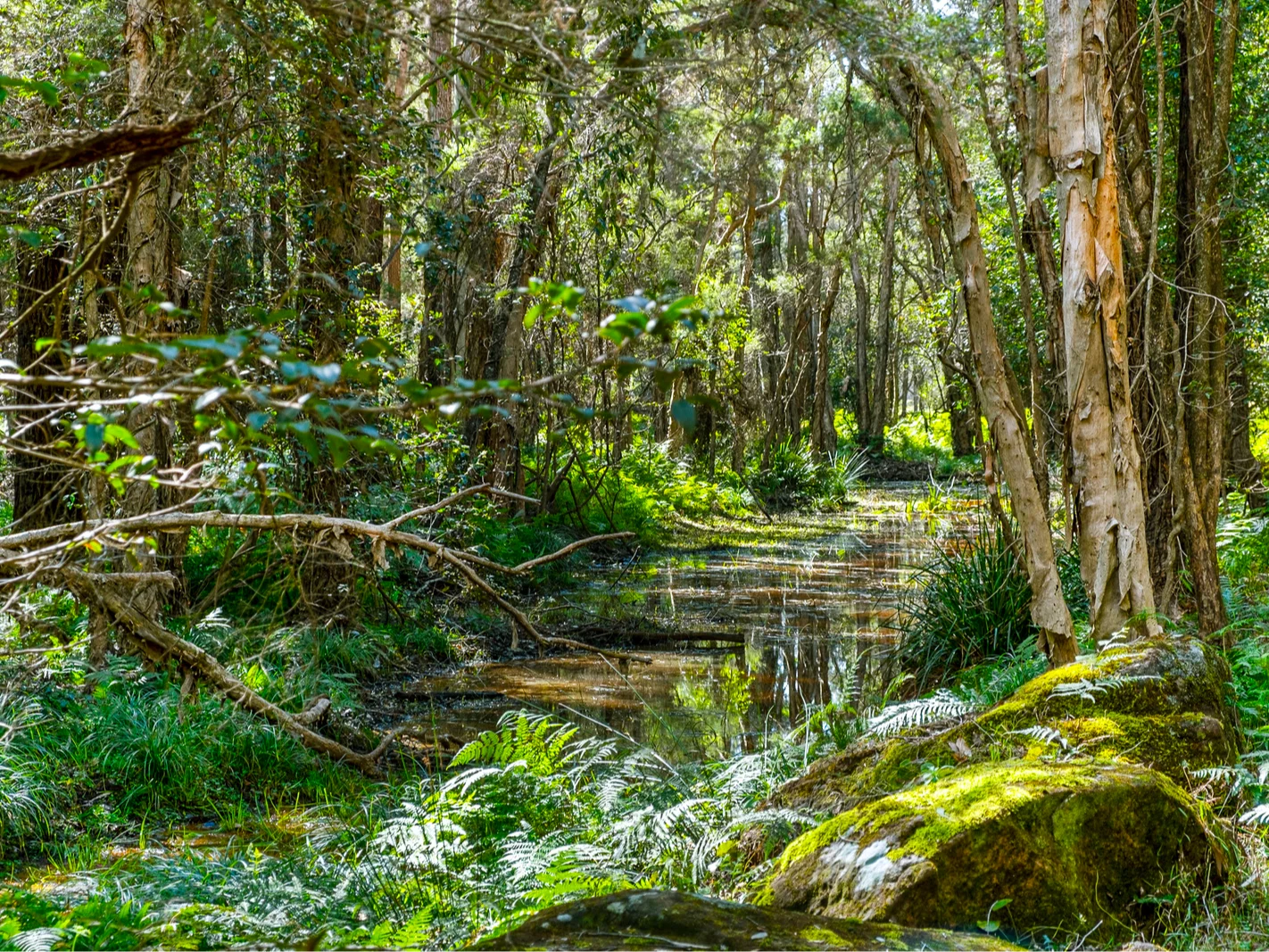 Additional image 22 of 277A, B, C Upper Colo Road, Colo NSW 2756