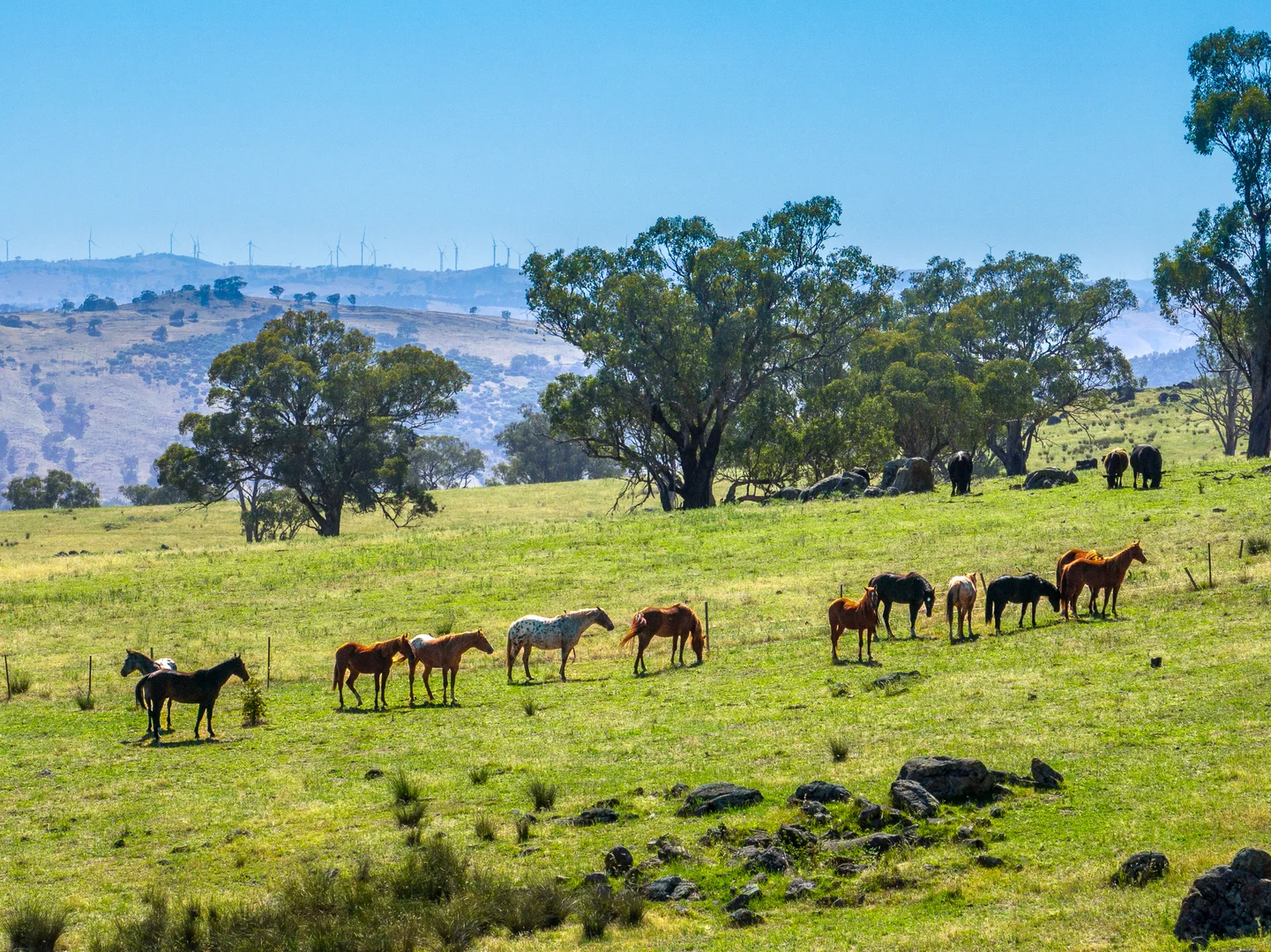 Additional image 2 of 134 Kirribili Road, Canowindra NSW 2804