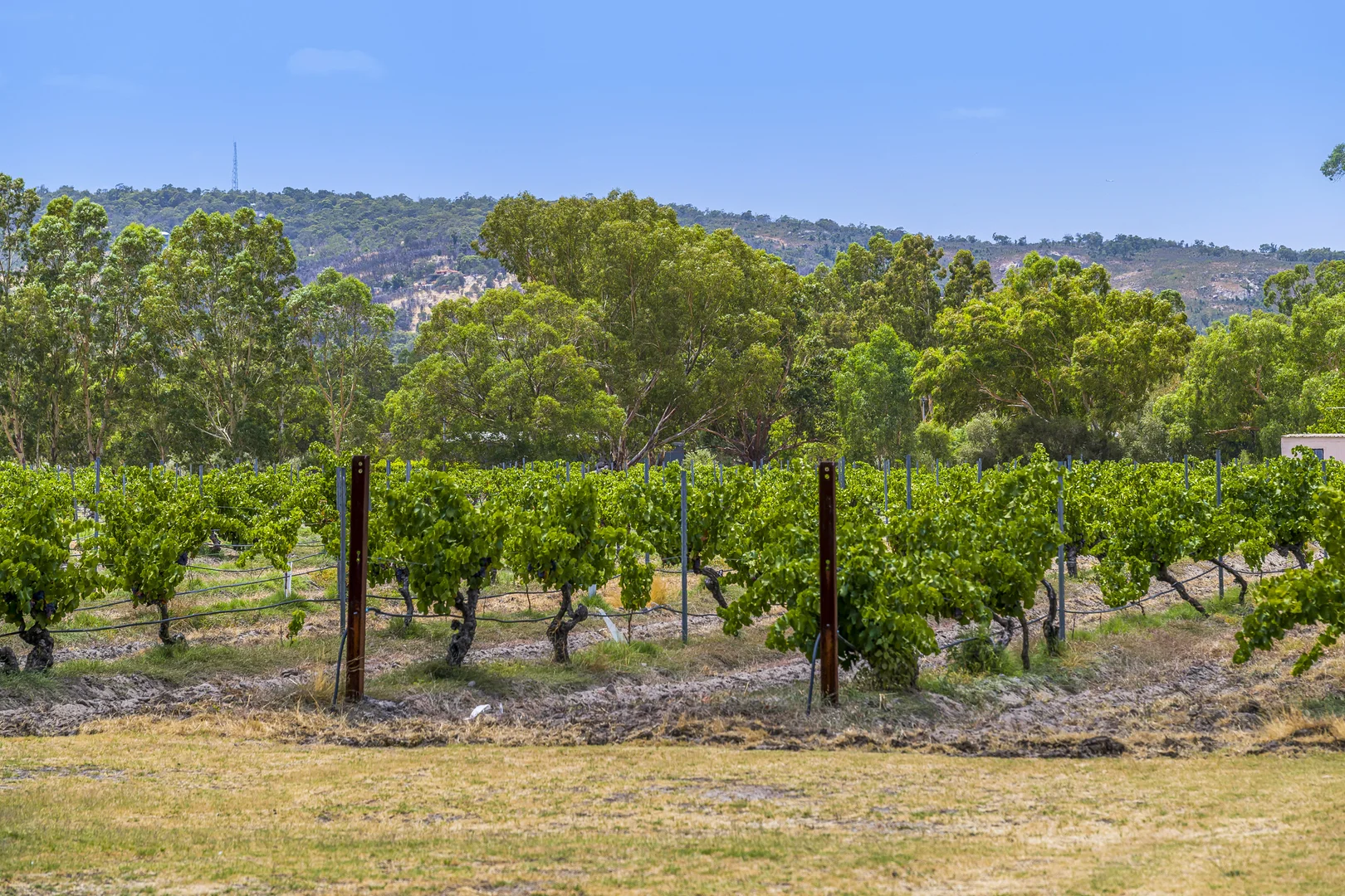 Additional image 39 of 301 Padbury Avenue, Millendon WA 6056