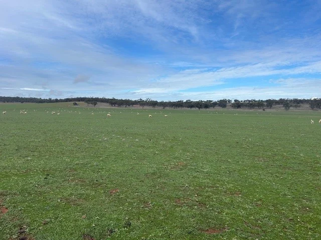 Additional image 10 of 418 Donaldsons Road, Corbie Hill NSW 2705