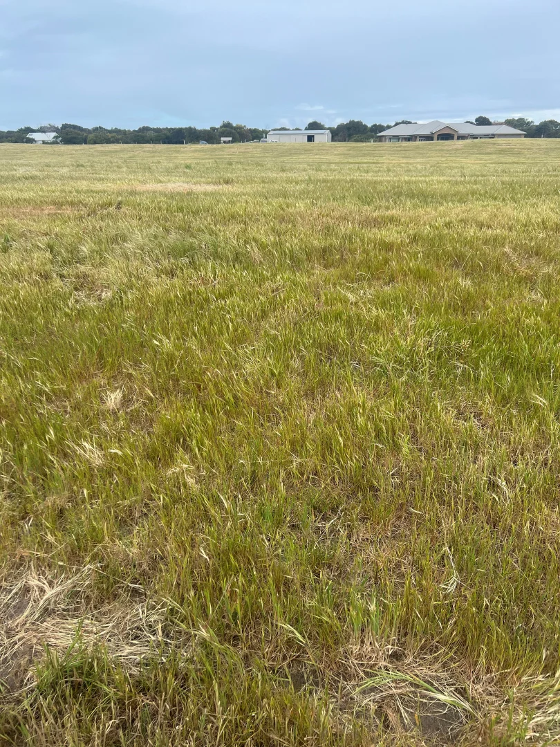 Additional image 4 of Lot 2 Ringwood Drive, Beachport SA 5280