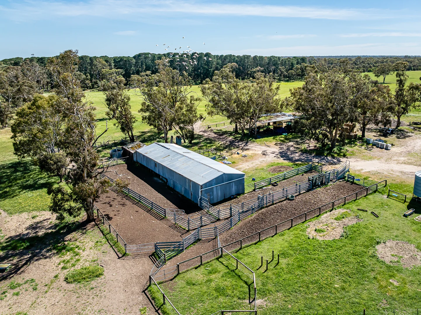 Additional image 16 of 520 Walkington Hills Road, Bangham SA 5268